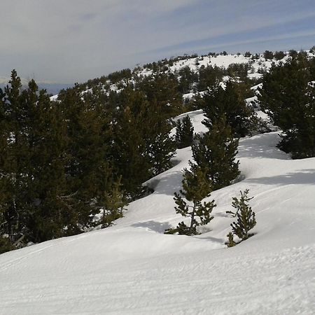 Apartment Face Aux Pistes Greolieres les Neiges Dış mekan fotoğraf