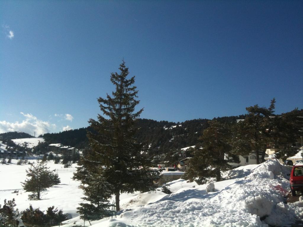 Apartment Face Aux Pistes Greolieres les Neiges Dış mekan fotoğraf