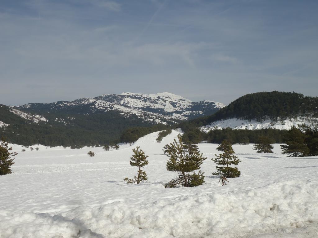 Apartment Face Aux Pistes Greolieres les Neiges Dış mekan fotoğraf