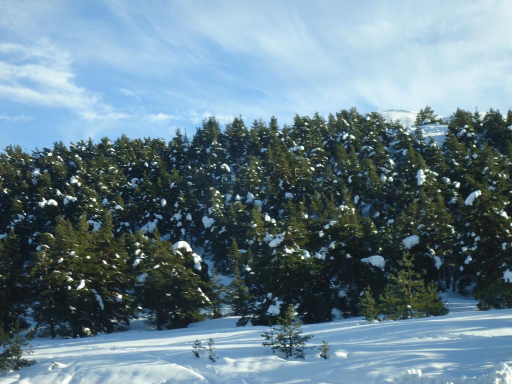 Apartment Face Aux Pistes Greolieres les Neiges Dış mekan fotoğraf