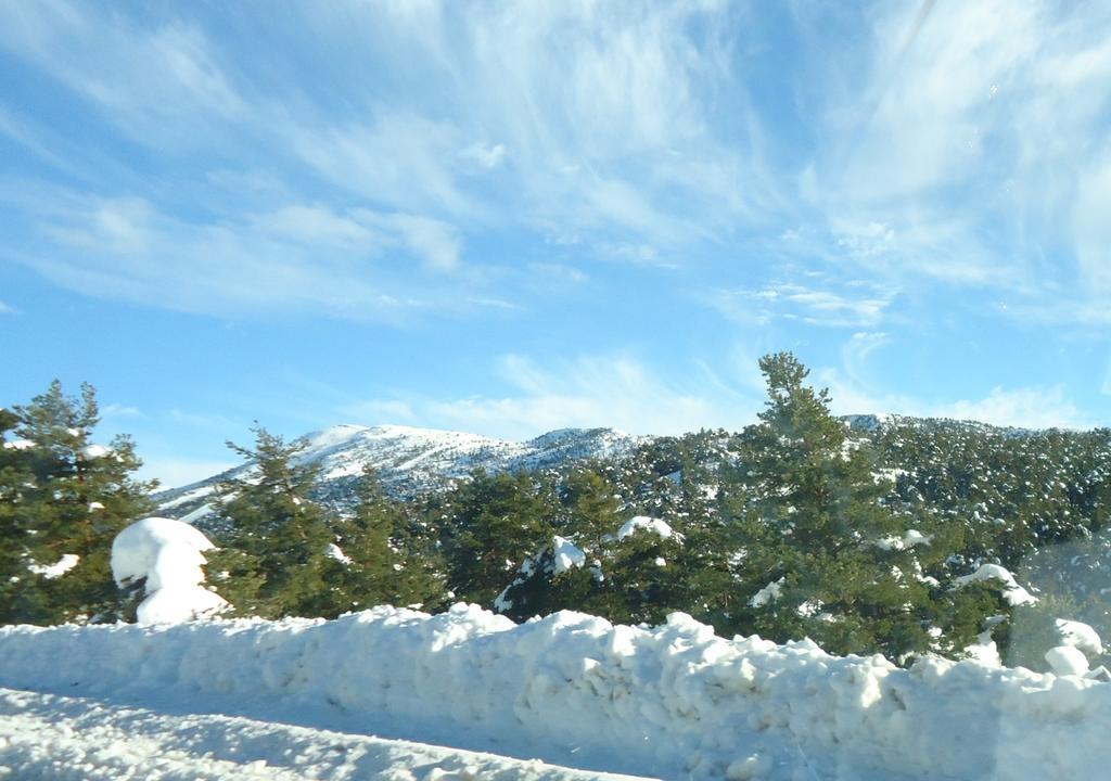 Apartment Face Aux Pistes Greolieres les Neiges Dış mekan fotoğraf