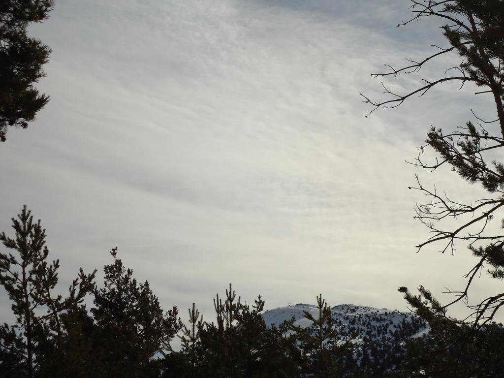 Apartment Face Aux Pistes Greolieres les Neiges Dış mekan fotoğraf