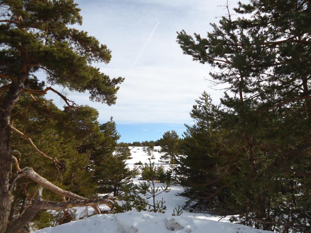Apartment Face Aux Pistes Greolieres les Neiges Dış mekan fotoğraf