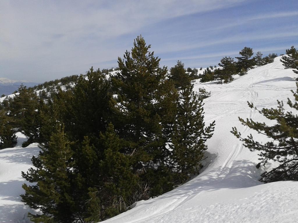 Apartment Face Aux Pistes Greolieres les Neiges Dış mekan fotoğraf