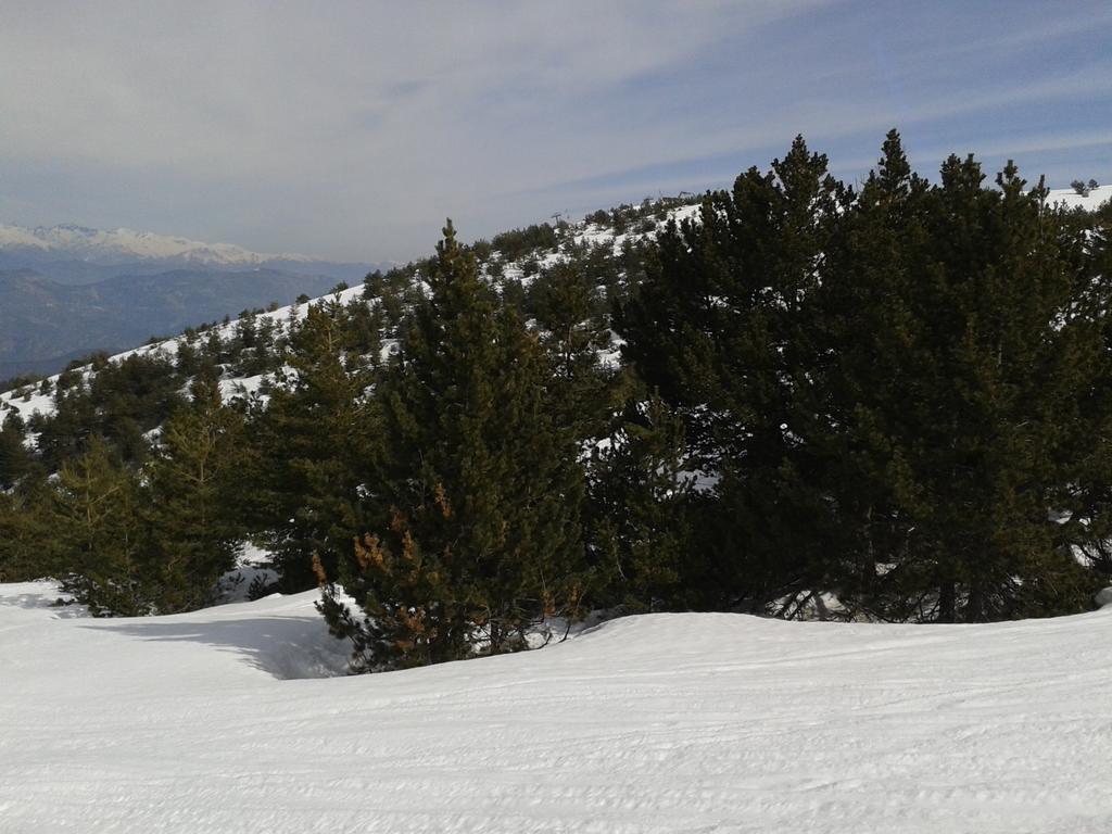 Apartment Face Aux Pistes Greolieres les Neiges Dış mekan fotoğraf