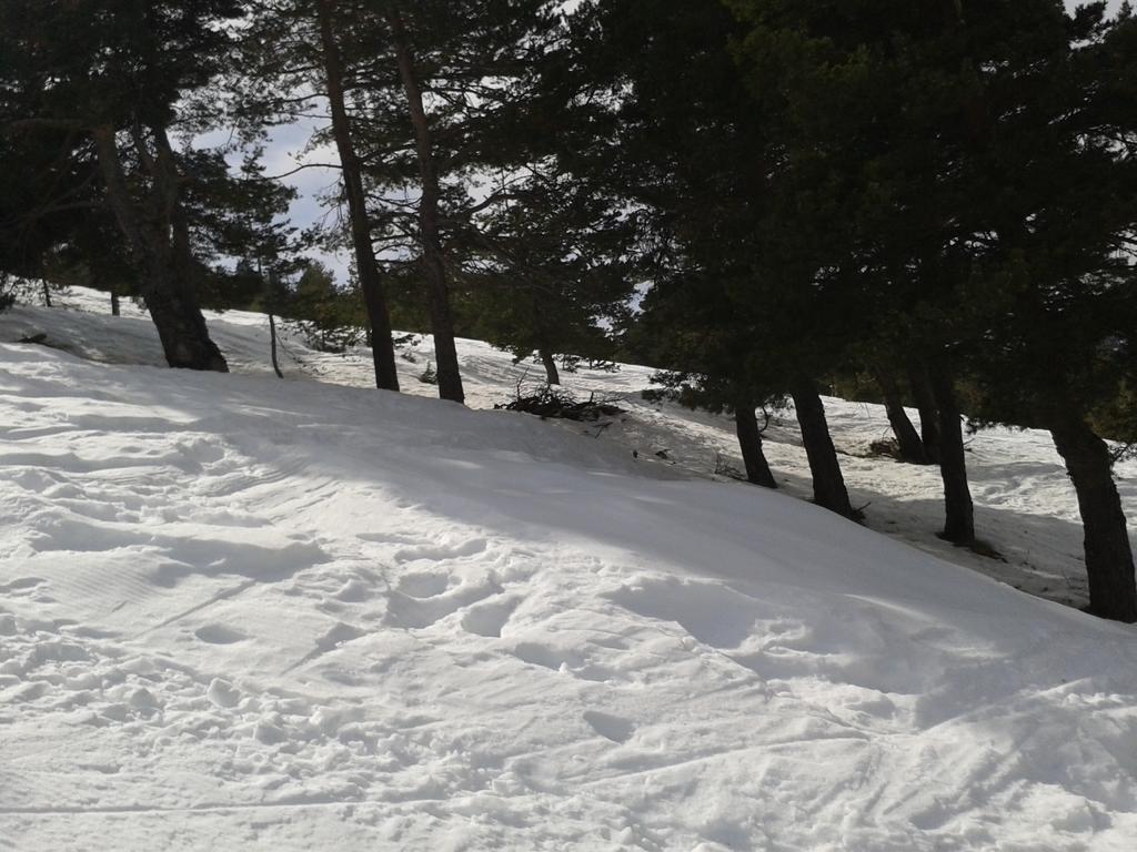 Apartment Face Aux Pistes Greolieres les Neiges Dış mekan fotoğraf
