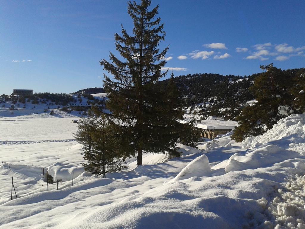 Apartment Face Aux Pistes Greolieres les Neiges Dış mekan fotoğraf