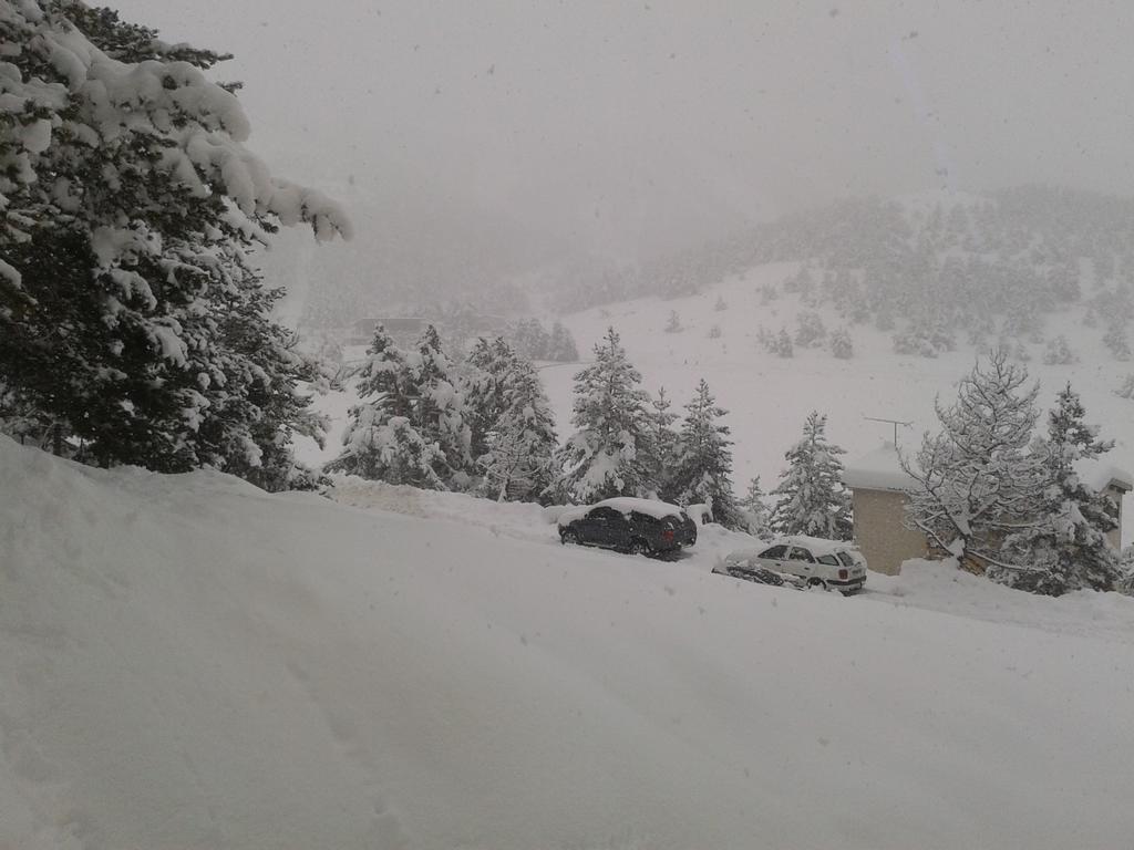 Apartment Face Aux Pistes Greolieres les Neiges Dış mekan fotoğraf