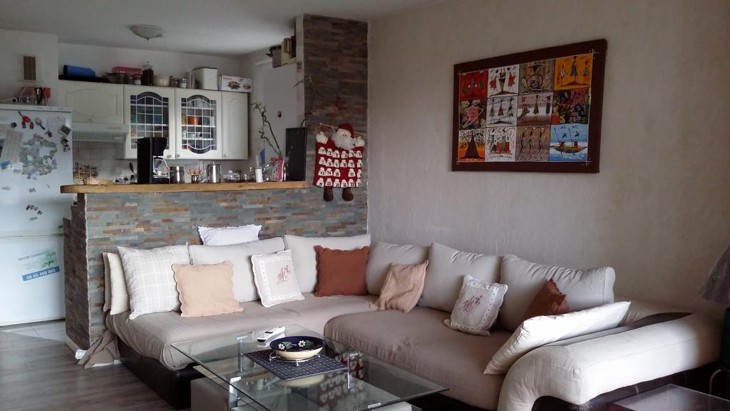 Apartment Face Aux Pistes Greolieres les Neiges Dış mekan fotoğraf